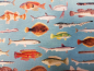 Preview: kleine Fische" hellblau-Jersey